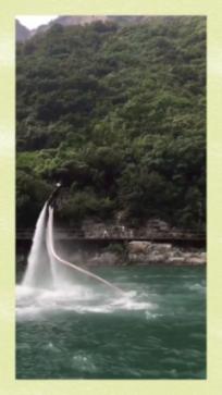 一份钱干两件事　松树“防癌”有妙招